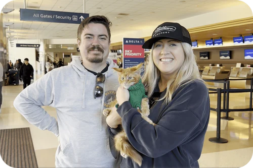 image_17_-min_af90951b-2561-4394-8589-fb3f6b4cee1c_500x